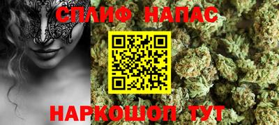 индика Гусиноозёрск