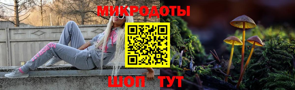 Галлюциногенные грибы Psilocybine cubensis Иваново